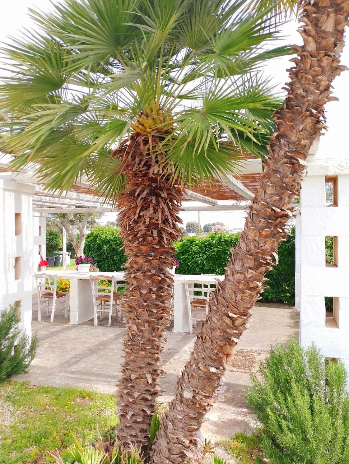 Hotel La Dimora Di Nonna Giuliana Ostuni Zewnętrze zdjęcie